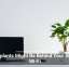 Houseplants Might Be Behind Your Sluggish Wi-Fi
