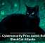 U.S. Cybersecurity Pros Admit Role in BlackCat Attacks